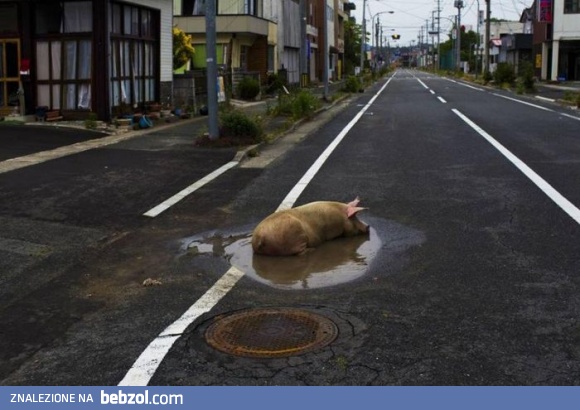 Wszędzie dobrze, ale...