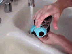 Małpeczkowa kąpiel