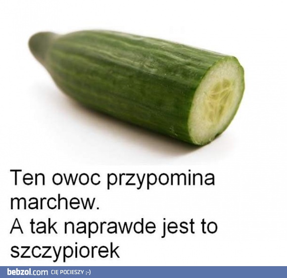 Zaskakująca ciekawostka