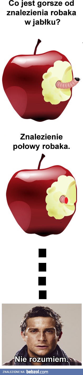 Wkładka z białka