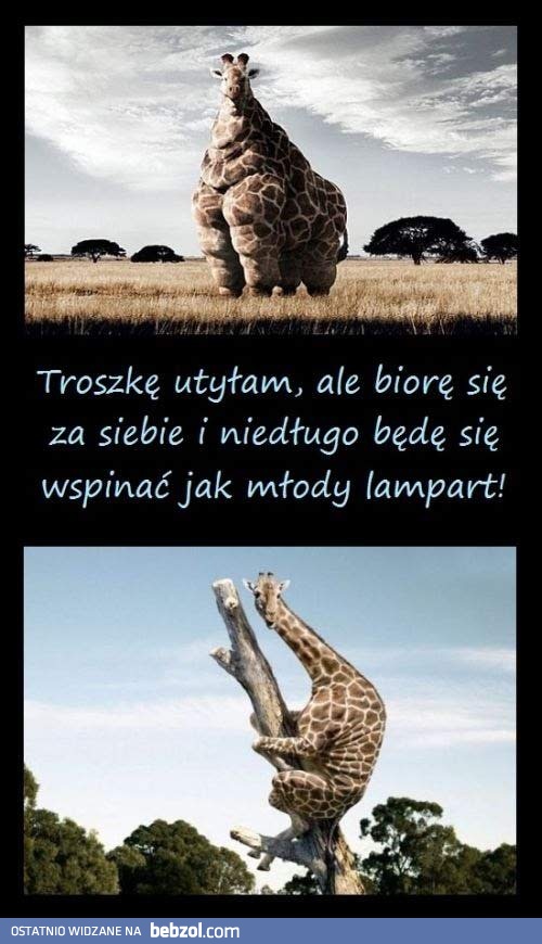 Twarde postanowienie