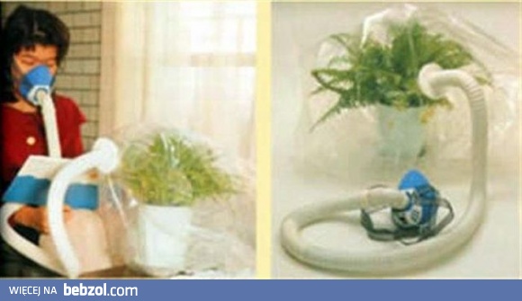 Świeże powietrze na wyciągnięcie ręki