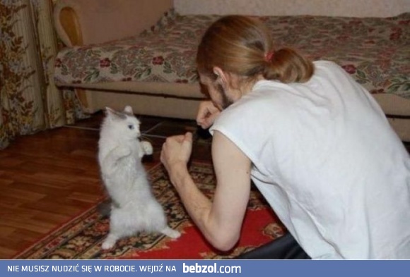 No cwaniaku wyskocz na solo