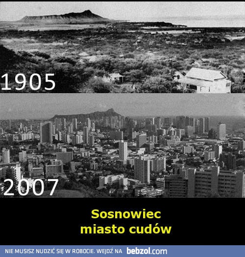 Sosnowiec - miasto cudów