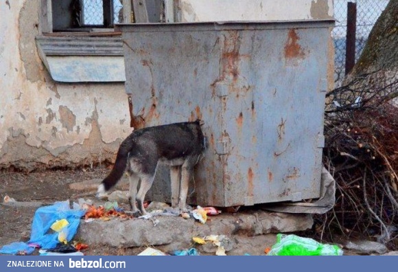 Dla chcącego nic trudnego