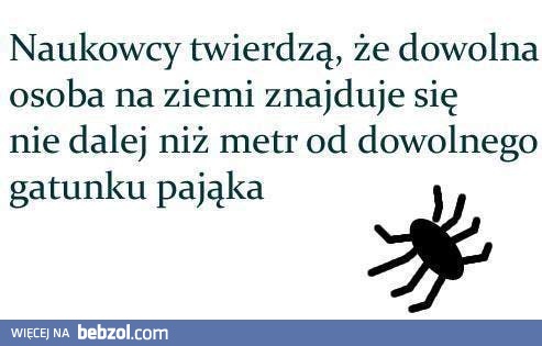 Sprawdziłeś dokładnie swoją okolicę?