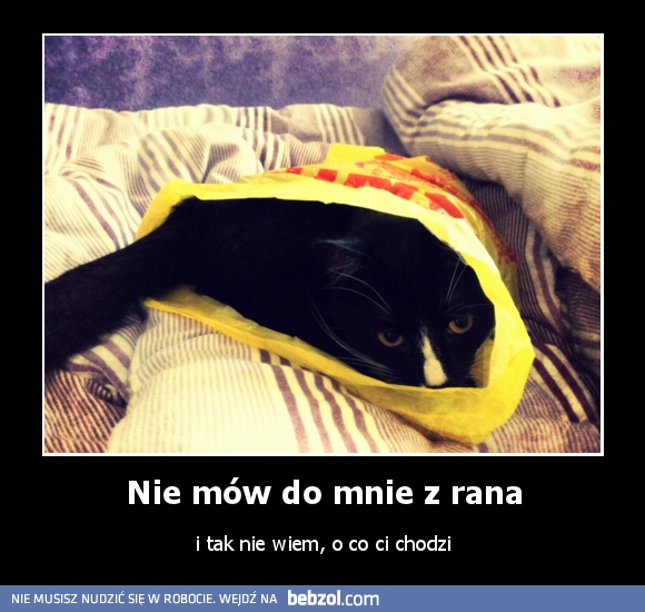 Nie mów do mnie z rana
