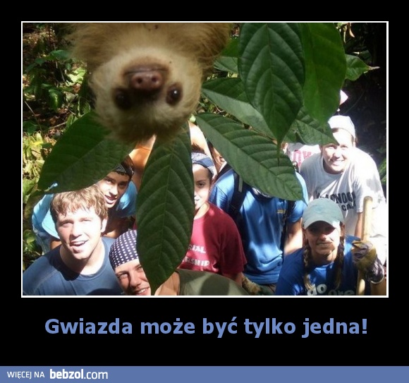 Gwiazda może być tylko jedna!