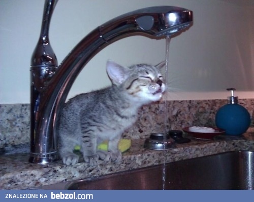 Ale jestem spragniony!