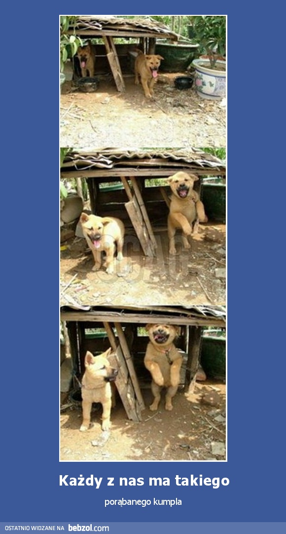 Każdy z nas ma takiego