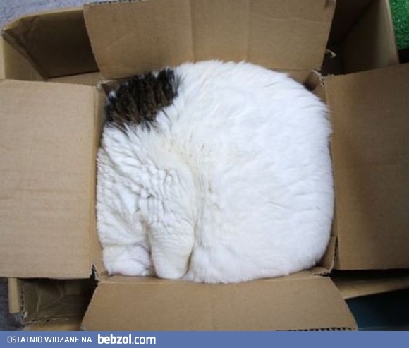 Rozpoznajecie tę przesyłkę?