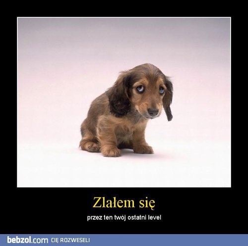 Jeszcze tylko jeden...