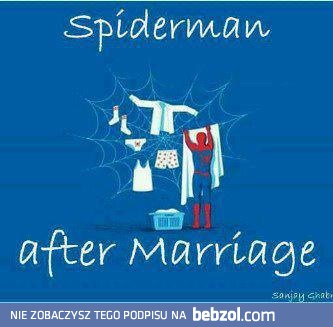 Spiderman po ślubie