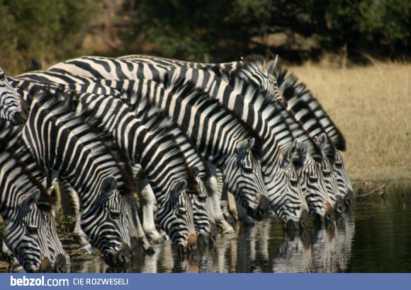 Przejście przez rzekę