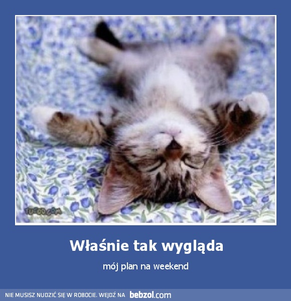 Właśnie tak wygląda