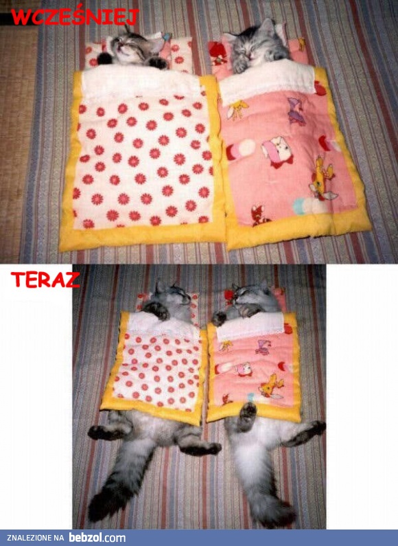 Czas biegnie nieubłaganie...