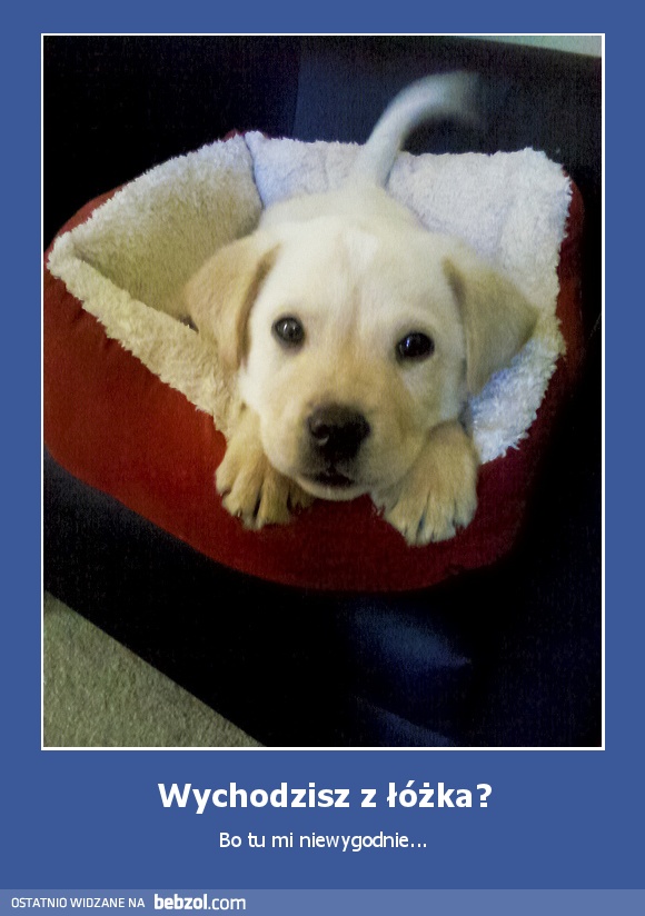 Wychodzisz z łóżka?