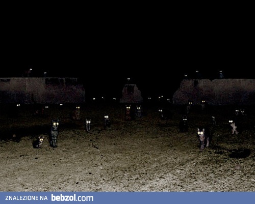 Czekamy aż zaśniesz...