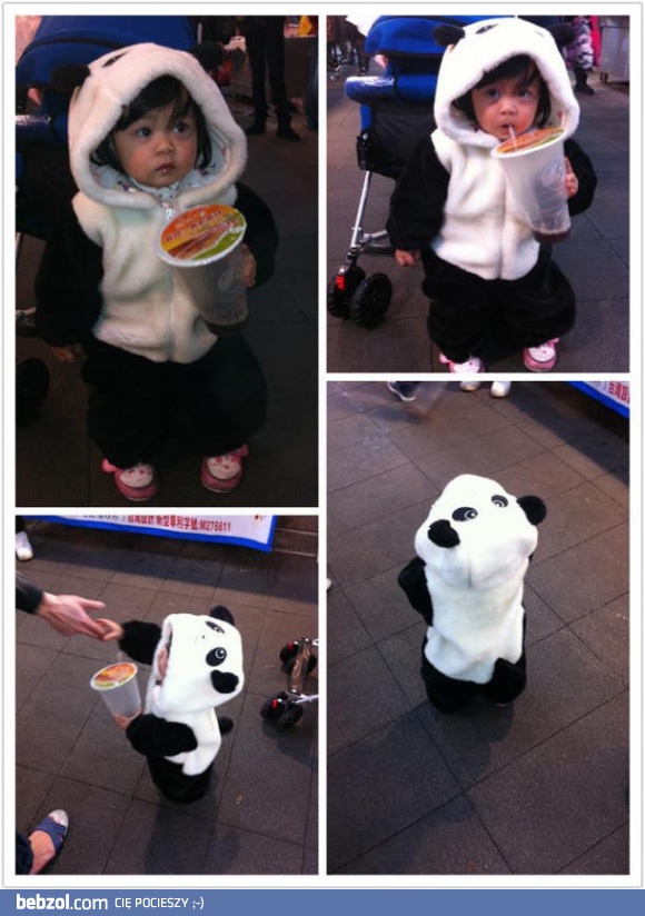 Czy słodkość da się przedawkować?