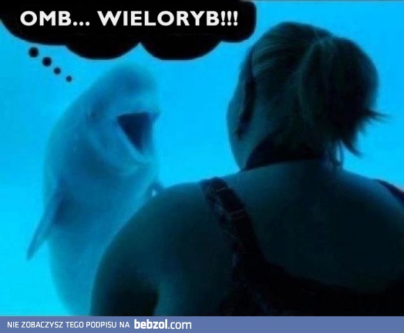 Wieloryb