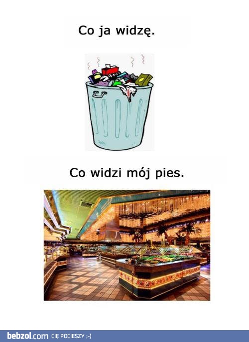 Co widzę ja...