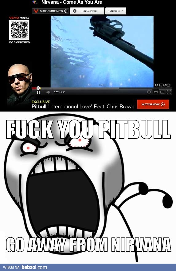 Pitbull, spadaj!