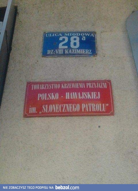 Towarzystwo krzewienia przyjaźni