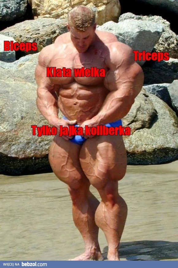 Biceps, triceps, klata wielka