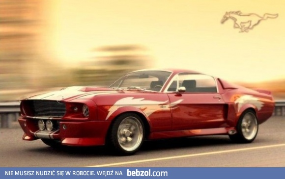 Mustang mknie po asfalcie