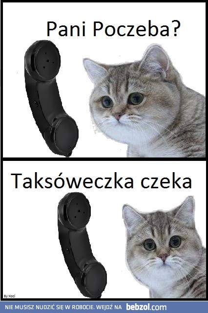 Czego poczeba?