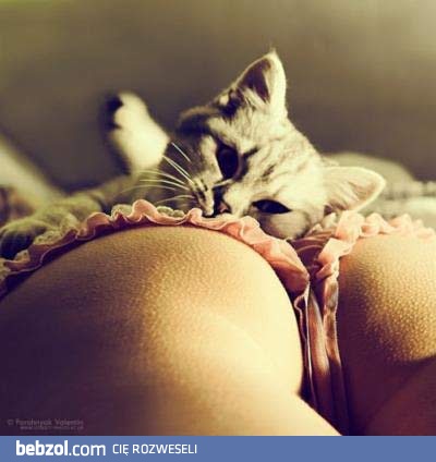 Są powody do mruczenia