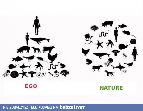 Męskie ego vs natura