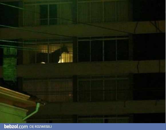 To dopiero musiała być impreza!