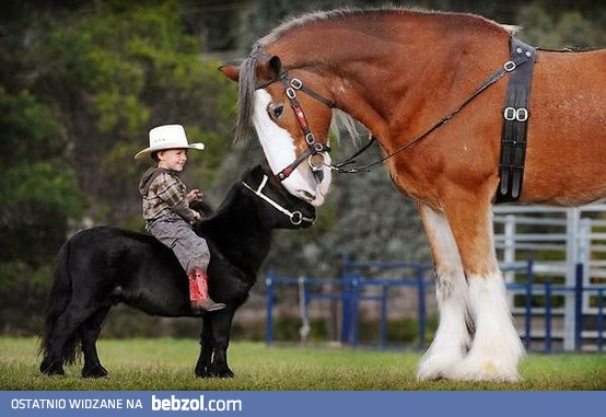 Mamo przyprowadziłem kolegę