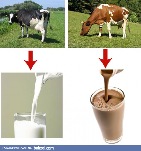 Dziecięca ideologia