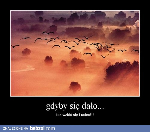 Gdyby tylko można było...