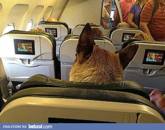 Kogo to nie spotkasz w samolocie