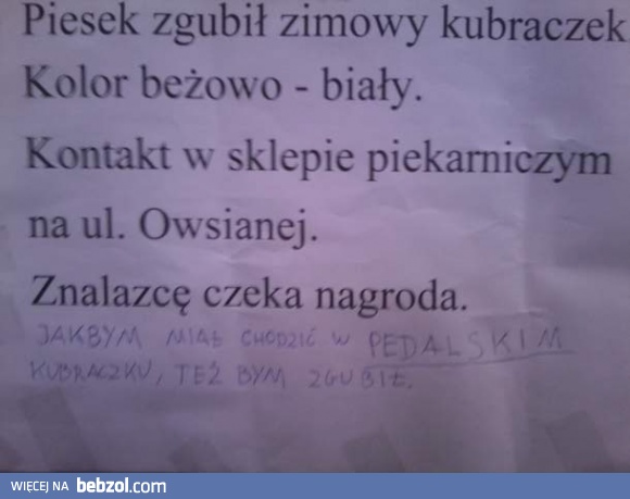 Widocznie piesek miał go dosyć...