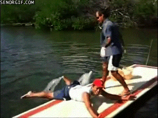 Zabawa z delfinami