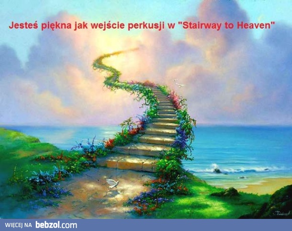 Najpiękniejszy komplement na świecie