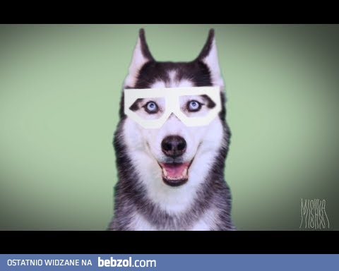 Mishka w wydaniu dupstepowym