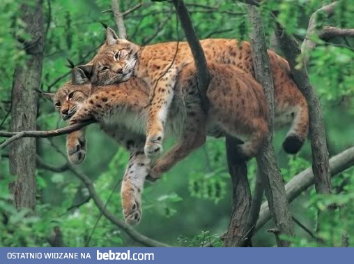 A Ty jak spędzasz ten dzień?