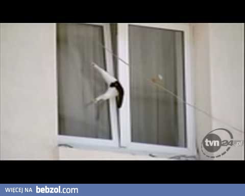 Trzeba było spać, a nie zwiedzać...