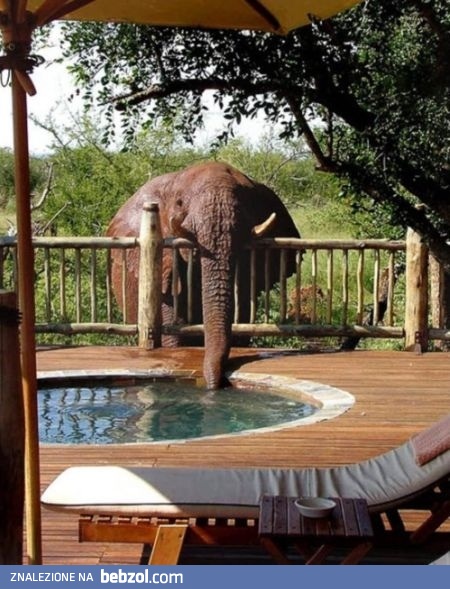 Kiedy suszy wykorzysta się każdą okazję