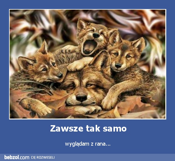 Zawsze tak samo
