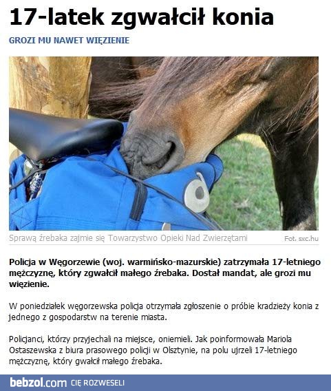 Ludzie to mają pomysły...