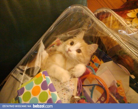 Ale chwilka... Tego nie kupowałem