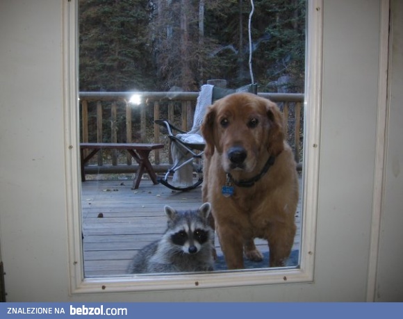 Zaprosiłeś kolegę?