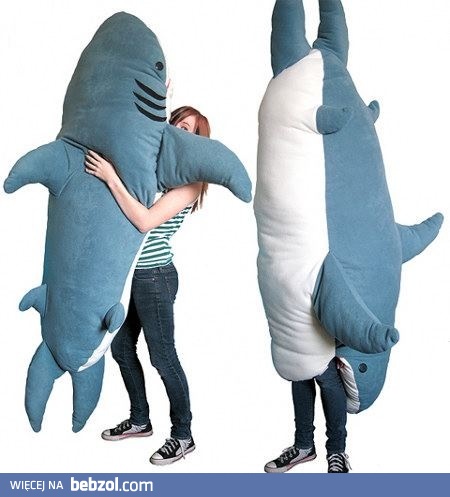 Najlepsza poduszka na świecie!