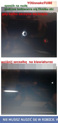 SNAKE na YT wiedzieliście..?